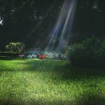 5483期香港开奖结果最新公布与中奖号码查询 awk17m19