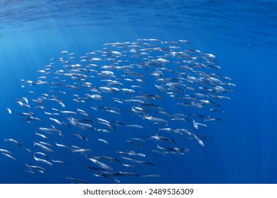 深入探讨派彩对玩家心理的影响与策略