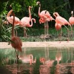 55体育直播网:高清赛事尽在指尖畅享 dc0cy