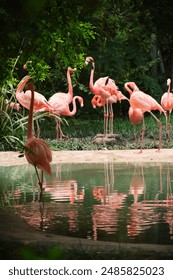 55体育直播网：高清赛事尽在指尖畅享