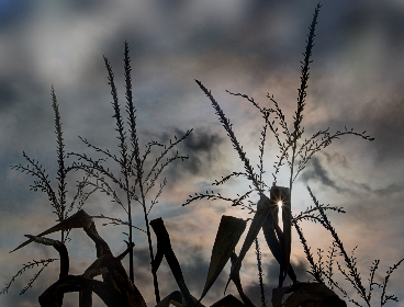 55频道直播精彩内容不容错过，立即观看