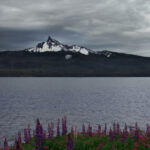 KKTV直播精彩呈现,独家内容不容错过 005aawo769