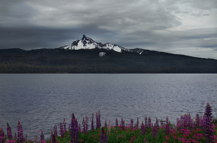 KKTV直播精彩呈现,独家内容不容错过 KKTV直播精彩呈现,独家内容不容错过