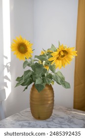 KK直播签约全攻略：从申请到签约的详细步骤解析