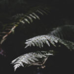 kk22开奖结果最新公布,速来查看中奖详情 2mchcym68