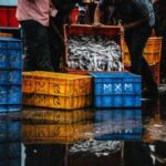 kjcc开奖直播免费观看全程高清实时同步 84hgqfi8bf