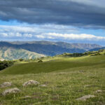 KK直播台球盛宴:高手对决,一杆定乾坤! mmblz7b