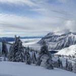 Kjo2开奖直播最新结果全程高清在线观看 pbbj6tngv