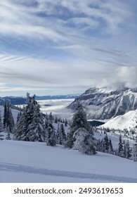 Kjo2开奖直播最新结果全程高清在线观看